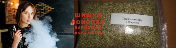 прущие грибы Волгодонск
