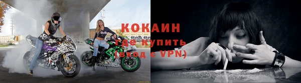 шишки Лихославль