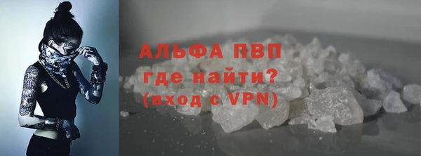 сатива Магас