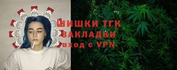 шишки Лихославль
